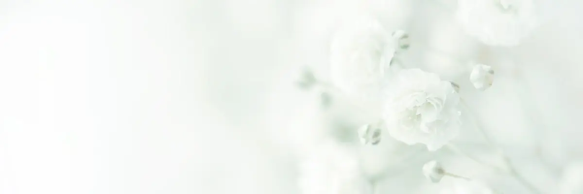 Make a Donation & Support Baby's Breath
